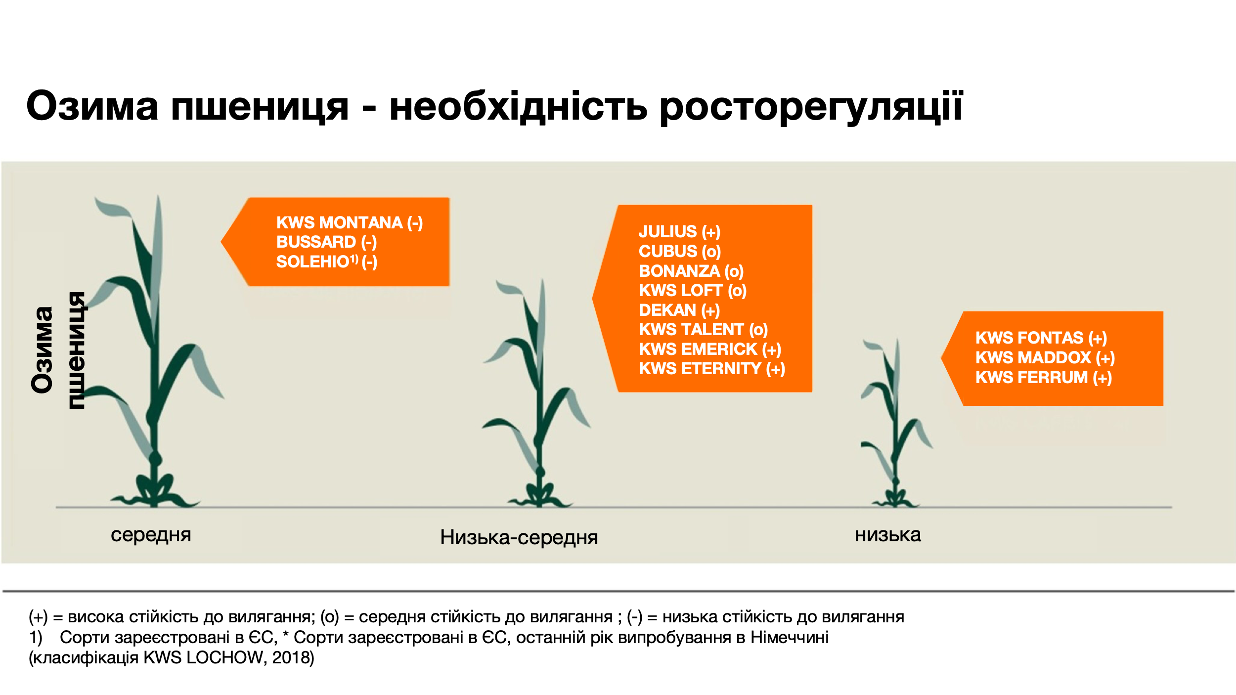 kws_plant_growth_management_plant_protection_1_variety_image_ua.png