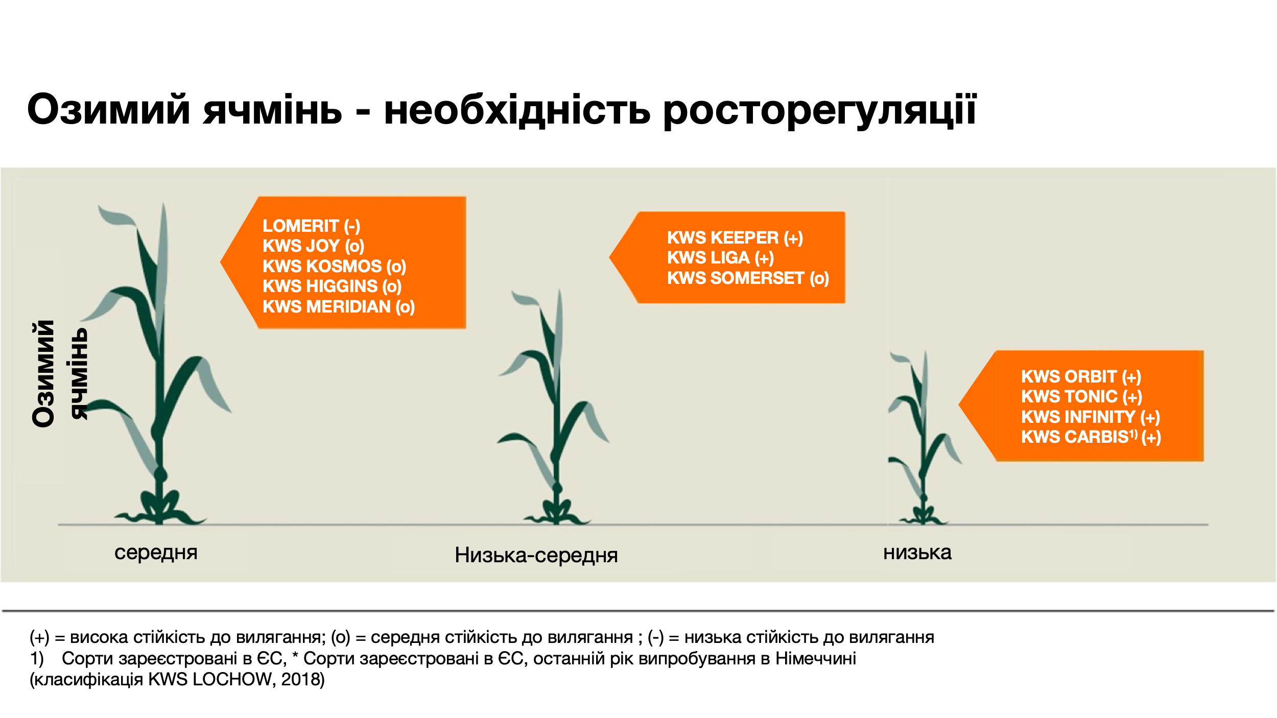 kws_plant_growth_management_plant_protection_2_variety_image_ua_1.png