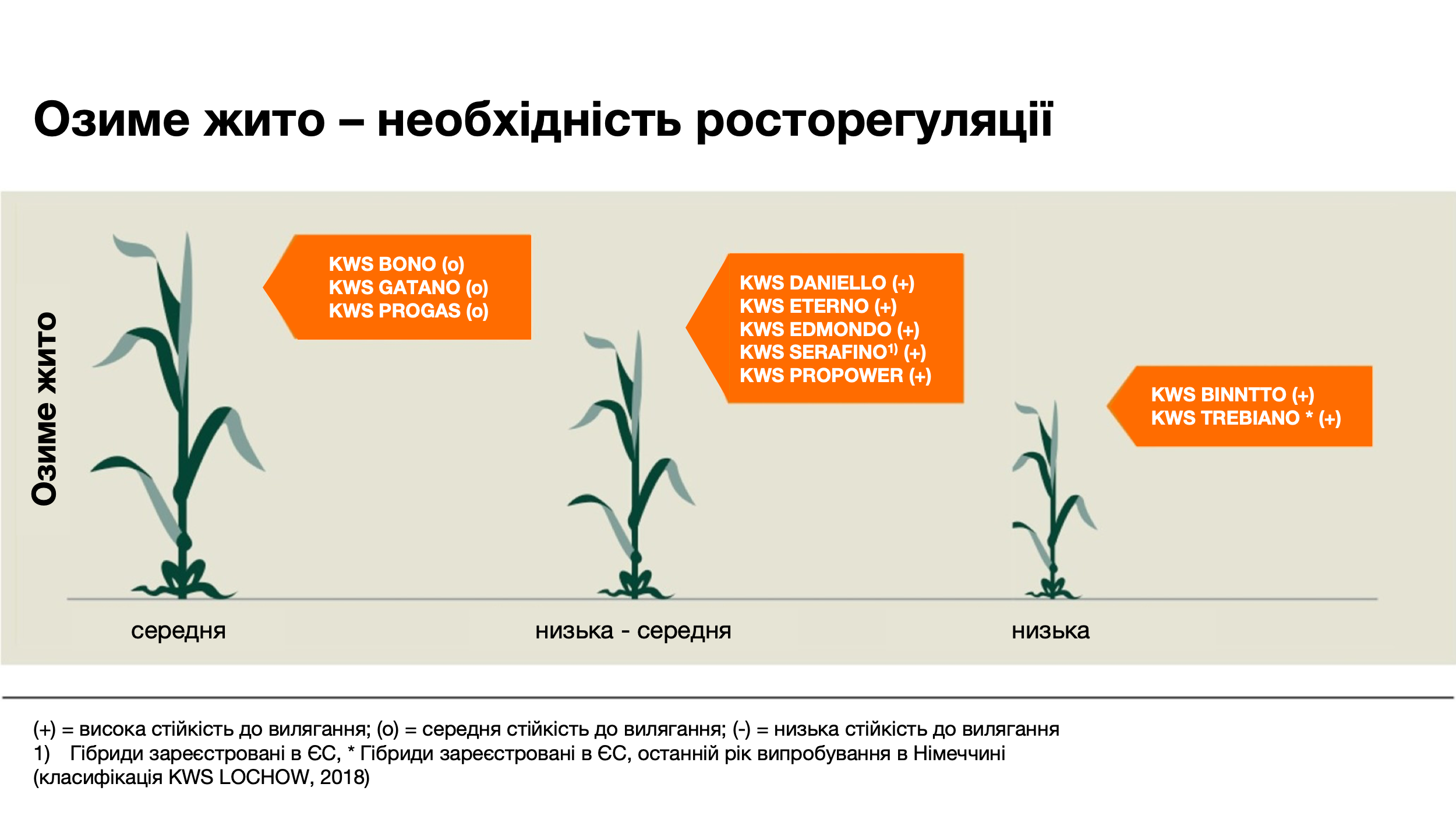 kws_plant_growth_management_plant_protectionvariety_image_ua.png