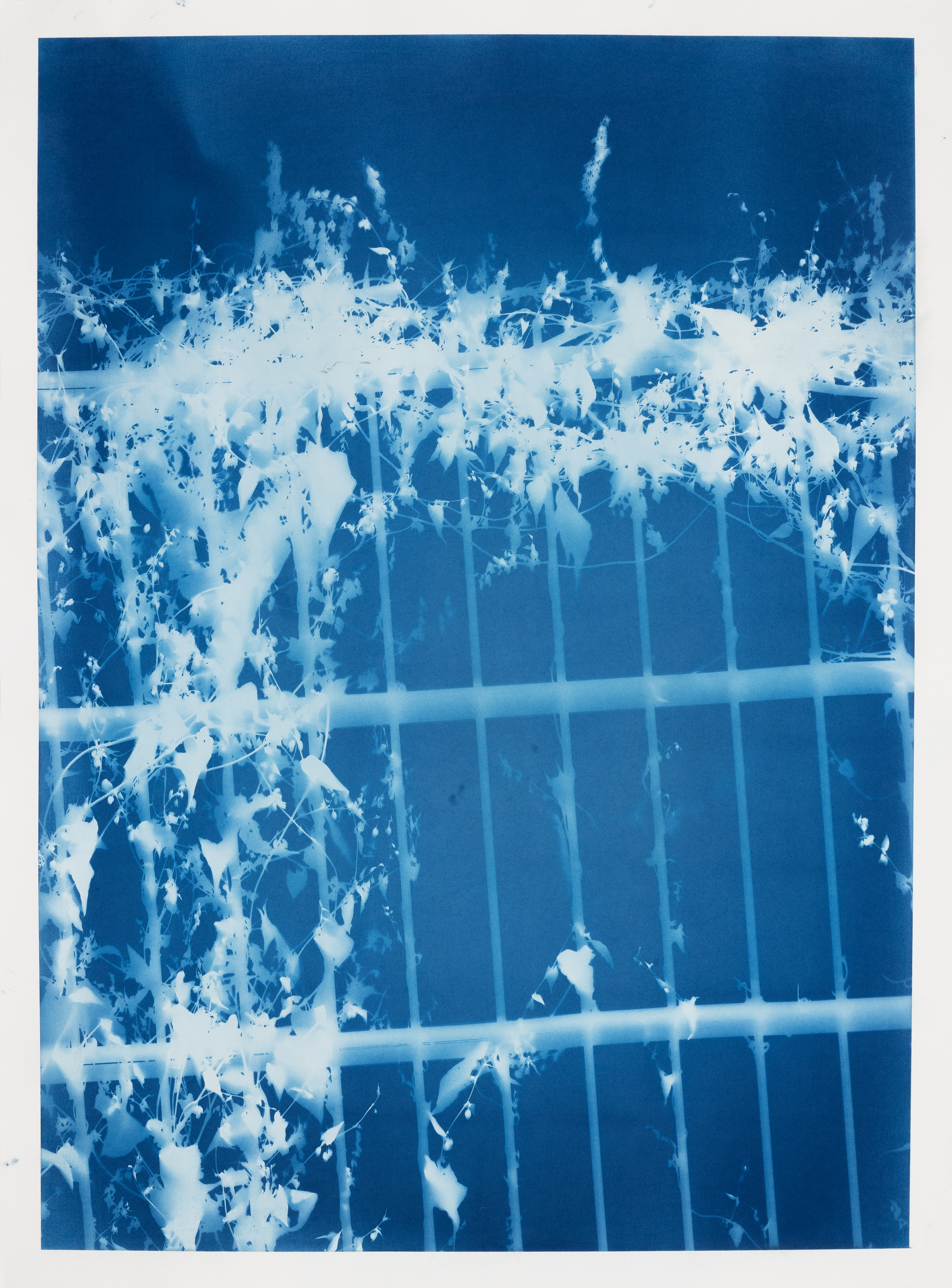 DB (4), 56 x 76 cm | Hannover 2025