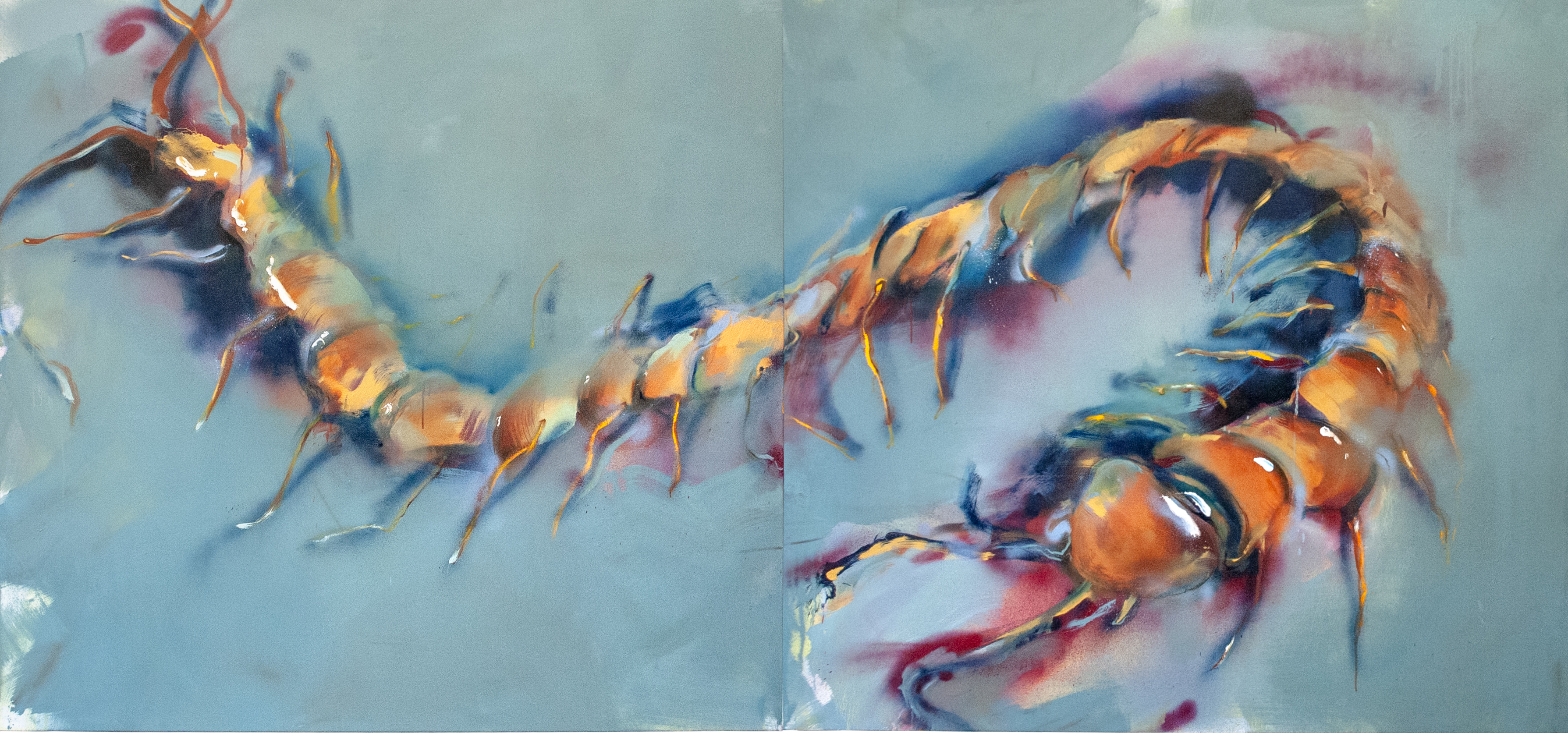 Centipede