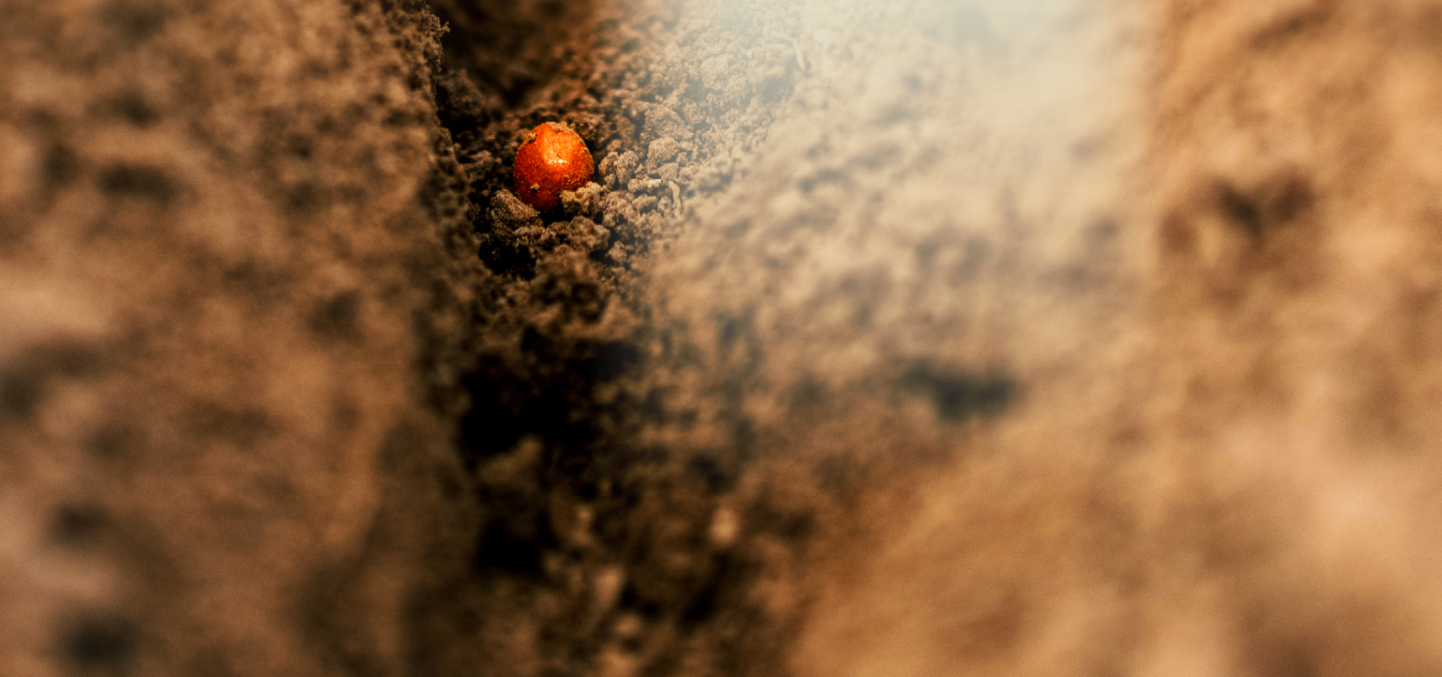 Shop-ZR-Headerbild.png